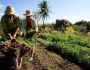 Bolsonaro ataca reforma agrária e agricultura familiar com decreto no Carnaval