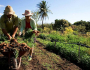 Bolsonaro ataca reforma agrária e agricultura familiar com decreto no Carnaval