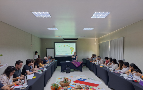 REAF destaca protagonismo da Agricultura Familiar na construção de políticas integradas