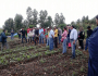 Agricultores familiares buscam cada vez mais a produção agroflorestal