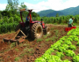 CONTRAF BRASIL apoia Greve dos Caminhoneiros e convoca Agricultura Familiar para somar nas paralisações