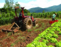 CONTRAF BRASIL apoia Greve dos Caminhoneiros e convoca Agricultura Familiar para somar nas paralisações