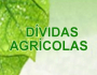 Endividamento Agrícola