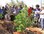 PRIMEIRA-DAMA BUSCA PARCERIAS NO BRASIL: Potencializar agricultura para alimentar as escolas