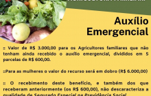 PL 735 Medidas emergenciais para agricultura familiar