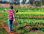 CONTRAF BRASIL participa do debate da proposta que cria a Semana da Agricultura Familiar