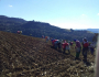 Agricultores Familiares iniciam plantio da Cebola sob tensão econômica