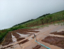 Chuva destrói produção de alimentos que abastecia região no DF