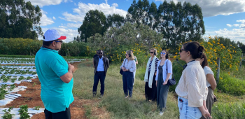 Assentamento Chapadinha recebe delegação internacional para vivência na agricultura familiar