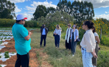 Assentamento Chapadinha recebe delegação internacional para vivência na agricultura familiar