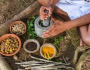 Contraf Brasil acompanha estratégias da Década das Nações Unidas para a Agricultura Familiar