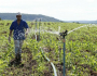 Pronaf 2014/2015 fecha com R$ 23,9 bilhões contratados para custeio e investimento na agricultura familiar