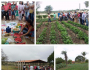 Fetraf Bahia promove intercâmbio entre agricultores familiares sobre tecnologia da produção