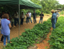 Fetraf MS participa de nova edição da Feira Estadual de Produtos da Agricultura Familiar