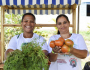 Agricultura familiar do Nordeste ganha impulso