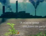 Campanha da Fraternidade - A favor da vida, contra o agronegócio