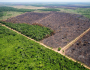 Contraf Brasil assina com mais de 80 organizações nota de repúdio à votação do licenciamento ambiental